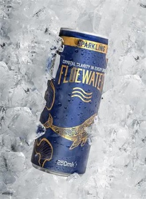 Ásványvíz, szénsavas, 250 ml, FLOEWATER